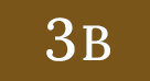 3B