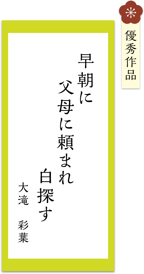 早朝に　父母に頼まれ　白探す